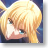 ヴァイスシュヴァルツ エクストラブースター Fate/Zero (トレーディングカード)