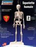 Human Skeleton (Plastic model)
