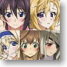 IS (Infinite Stratos) Sticker Collection 8 pieces (Anime Toy)
