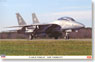 F-14B/D トムキャット `ロービジ` (プラモデル)