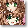 Rewrite IC Card Sticker Set Kanbe Kotori (Anime Toy)