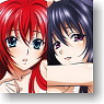 High School DxD Bathroom Poster (Anime Toy)