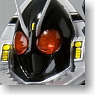 S.H.Figuarts Kamen Rider Fourze Magnet States (Completed)