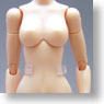 1/6 Element Body (Fashion Doll)