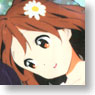 K-on!! Metalic Plate 4 12pieces (Anime Toy)