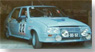 シトロエン ヴィザ グループB 1983年ポルトガルラリー ドライバー:F. Romaozinho (限定200台) (ミニカー)