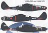 Decal for P-61 Black Widow 419th NFS & 419th NFS (Plastic model)
