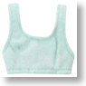 PNS Sports Brassieres & Shorts Set (Mint Green) (Fashion Doll)