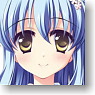 Character Card Box Collection Strawberry Nauts [Aoto Mikamo] (Card Supplies)