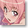 The Familiar of Zero F Louise Water Resistant Poster (Anime Toy)