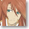 Tales of The Abyss Clear Sheet B (Anime Toy)