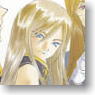 Tales of The Abyss Clear File A (Anime Toy)