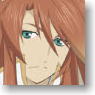 Tales of The Abyss Clear File B (Anime Toy)