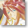 Tales of The Abyss Bathroom Poster A (Anime Toy)