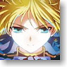 Fate/Zero Itasha Sunshade Key Visual ver. (Anime Toy)