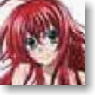 High School DxD Big B1 Poster Life-size upper body Rias Gremory (Anime Toy)