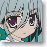[Magical Girl Lyrical Nanoha ViVid] Rubber Key Ring Coaster Type [Einhard Stratos] (Anime Toy)