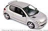 Peugeot 206 RC 2003 (Aluminum Silver) (Diecast Car)