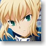 Weiss Schwarz Booster Pack Fate/Zero (Trading Cards)