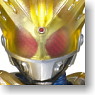S.H.Figuarts Kamen Rider Meteor Storm (Completed)