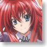 Prism Connect High School DxD Starter Deck (Trading Cards)