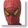 RAH591 THE AMAZING SPIDER-MAN (Completed)