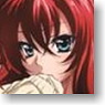Chara Sleeve Collection High School DxD Rias Gremory (No.094) (Card Sleeve)