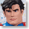 DC Comic Super Heroes/ Superman Bust (Completed)