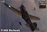 カーチス P-40K ウォーホーク `2 in 1` (プラモデル)