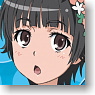 [To Aru Kagaku no Railgun] Pin Badge 2 pieces [Uiharu Kazari] (Anime Toy)