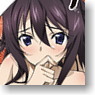 IS (Infinite Stratos) Hoki Folding Fan (Anime Toy)