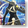 Persona 4 the Ultimate in Mayonaka Arena Are you ready? (Anime Toy)