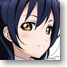 Lovelive! Color Pass Case Sonoda Umi (Anime Toy)