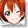 Lovelive! Color Pass Case Hoshizora Rin (Anime Toy)