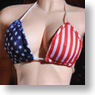 FLIRTY GIRL 1/6 Bikini for Women (America) (Fashion Doll)