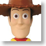Talking Friend Woody (Completed)