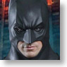 HD Masterpiece Collection / Batman Dark Knight: Batman (Completed)