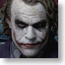HD Masterpiece Collection / Batman Dark Knight: Joker (Completed)