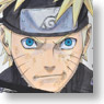 Comic Calendar 2013 Naruto (Anime Toy)