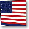 キャラクターデッキケースコレクションSP 世界の国旗 「アメリカ」 (カードサプライ)