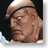 Street Fighter /Mix Media 1/4 Statue : Sagat (PVC Figure)