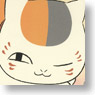 Natsume Yujincho Nyan Koyomi 2013 Desktop Calendar (Anime Toy)