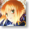 Fate/Zero Multi Plate Collection 10 Pieces (Anime Toy)