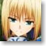 Bushiroad Sleeve Collection HG Vol.389 Fate/Zero [Saber] Part.2 (Card Sleeve)