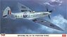 Spitfire Mk.VII/VIII `Pointed Wing` (Plastic model)