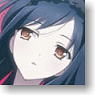 Accel World Clear Sheet D (Anime Toy)