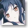 Accel World Clear File A (Anime Toy)