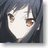 Accel World Clear File B (Anime Toy)