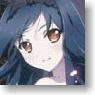 Accel World Clear File C (Anime Toy)