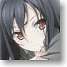 Accel World Clear File D (Anime Toy)